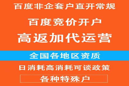 SEM运营公司成功案例解析